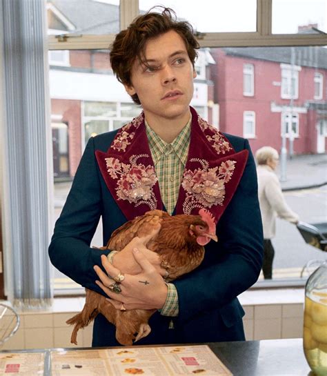 gucci campaign films|gucci campaign harry styles.